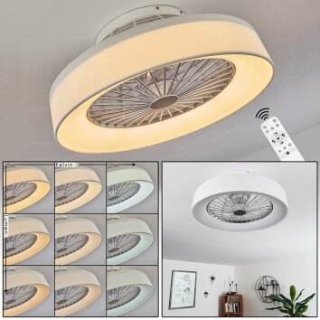 Moli Deckenventilator LED Weiß, 1-flammig, Fernbedienung