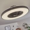 Qualiano Deckenventilator LED Schwarz, Weiß, 1-flammig, Fernbedienung