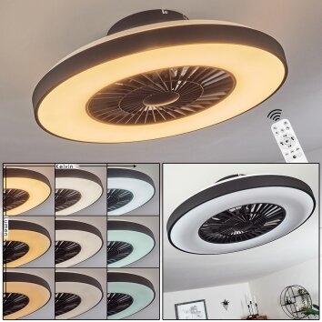 Qualiano Deckenventilator LED Schwarz, Weiß, 1-flammig, Fernbedienung