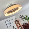 Moli Deckenventilator LED Grau, Weiß, 1-flammig, Fernbedienung