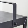 Sciolze Solarleuchte Schwarz, Transparent, Klar, 2-flammig