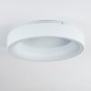 Pine Deckenleuchte LED Weiß, 1-flammig