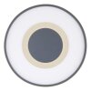 Globo NORA Deckenpanel LED Anthrazit, 1-flammig, Fernbedienung