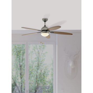 Eglo SUSALE Deckenventilator Nickel-Matt, 1-flammig