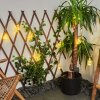 Trygsland Solar-Lichterkette LED Braun, 10-flammig