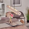 Rodeche Pendelleuchte LED Klar, Naturfarben, 2-flammig