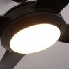 Tjerne Deckenventilator LED Schwarz, 1-flammig