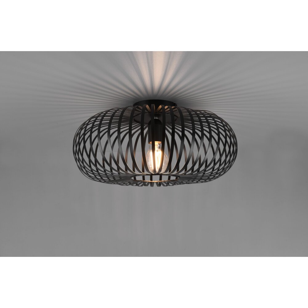 Trio Leuchten Johann Deckenleuchte Schwarz, 1-flammig main product photo
