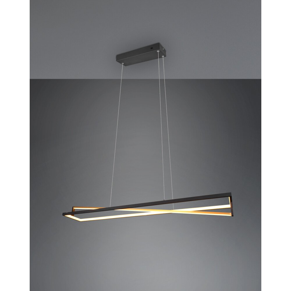 Trio Leuchten Edge Pendelleuchte LED Schwarz, 1-flammig main product photo