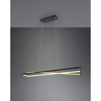 Trio Leuchten Edge Pendelleuchte LED Schwarz, 1-flammig