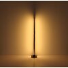 Globo DORO Stehleuchte LED Holzoptik, Schwarz, 1-flammig