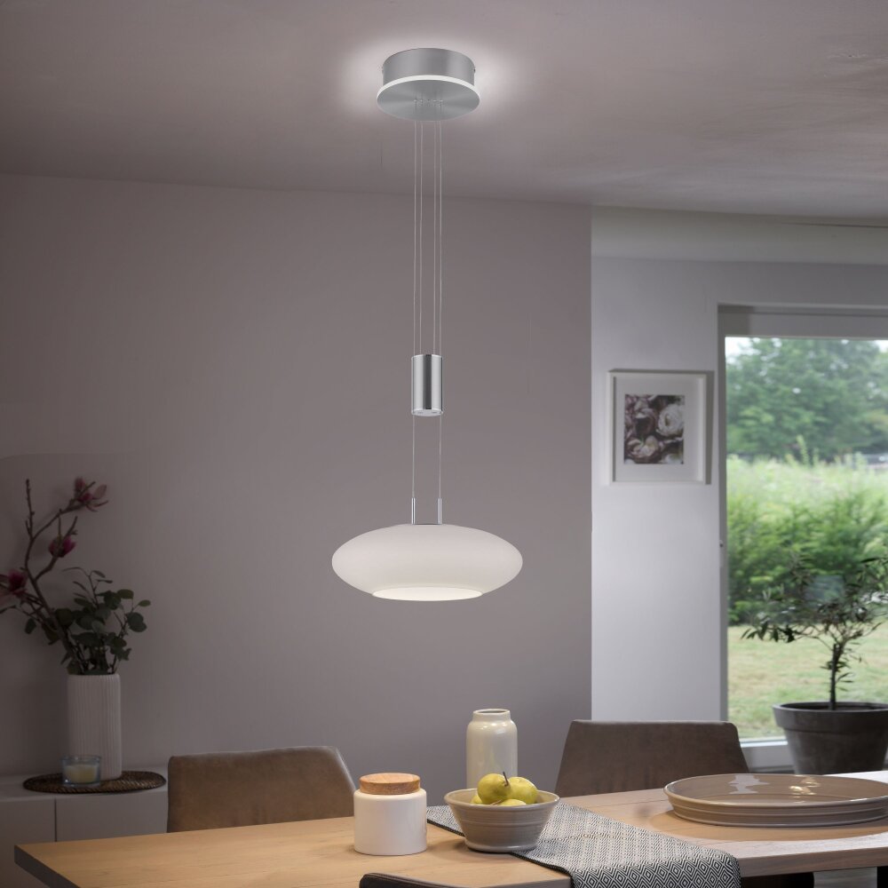 Paul Neuhaus Q-ETIENNE Pendelleuchte LED Stahl gebürstet, 2-flammig, Fernbedienung main product photo