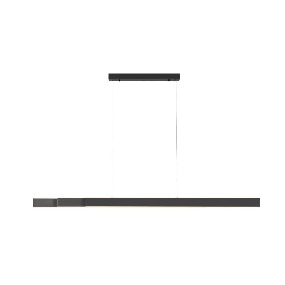 Paul Neuhaus PURE-LUME Pendelleuchte LED Anthrazit, 6-flammig main product photo