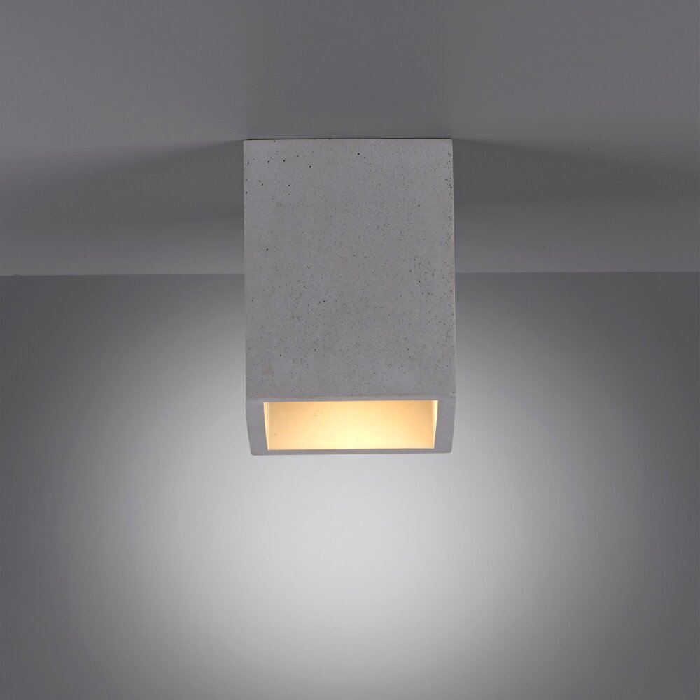 Paul Neuhaus ETON Deckenleuchte Grau, Schwarz, 1-flammig main product photo