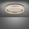 Paul Neuhaus Q-VITO Deckenleuchte LED Messing, 1-flammig, Fernbedienung