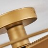Samatrai Deckenleuchte Gold, 1-flammig