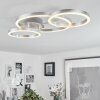 Sorte   Deckenleuchte LED Nickel-Matt, 1-flammig