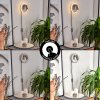 Viata     Wandleuchte LED Grau, Nickel-Matt, 2-flammig