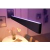 Philips Hue White & Color Ambiance Ensis Pendelleuchte LED Schwarz, 2-flammig, Farbwechsler