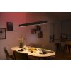 Philips Hue White & Color Ambiance Ensis Pendelleuchte LED Schwarz, 2-flammig, Farbwechsler