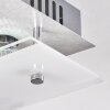 Liestal Deckenleuchte LED Nickel-Matt, 1-flammig Liestal Deckenleuchte LED Nickel-Matt, 1-flammig