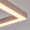 Buren Deckenleuchte LED Nickel-Matt, 1-flammig