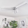 Mohlin Deckenleuchte LED Nickel-Matt, 5-flammig