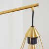 Cenova Wandleuchte Messing, 1-flammig