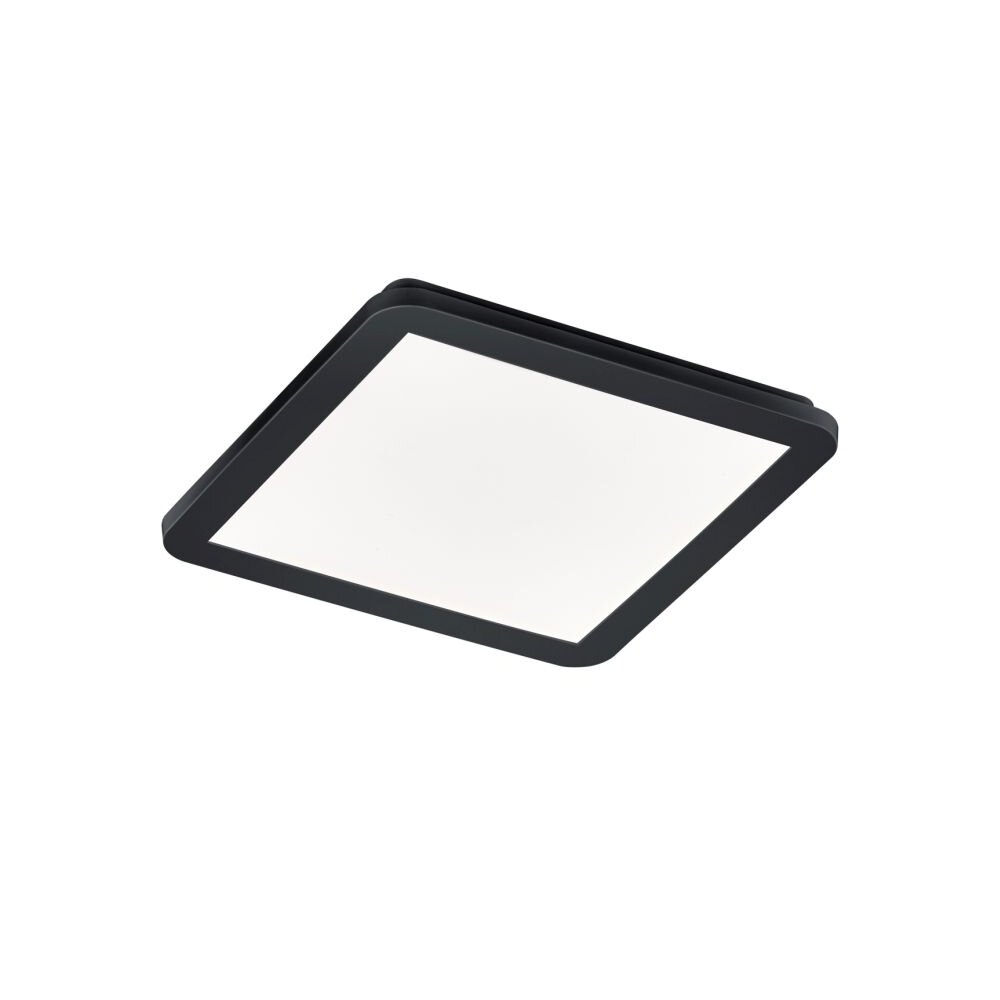 Reality CAMILLUS Deckenleuchte LED Schwarz, 1-flammig main product photo