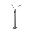 Fischer & Honsel Dent Stehleuchte LED Schwarz, 2-flammig