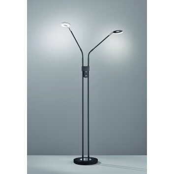 Fischer & Honsel Dent Stehleuchte LED Schwarz, 2-flammig