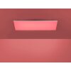 Paul Neuhaus FRAMELESS Panel LED Weiß, 1-flammig, Fernbedienung, Farbwechsler