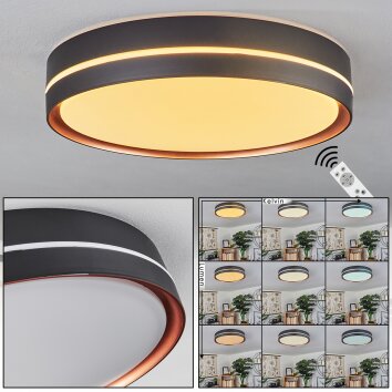 Cachalot Deckenleuchte LED Kupferfarben, Schwarz, 1-flammig, Fernbedienung, Farbwechsler