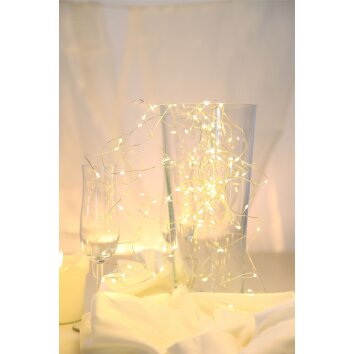 Globo VENUTO Lichterkette LED Silber, 20-flammig