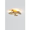 Holländer CONTROVERSIA Wandleuchte LED Gold, 5-flammig Holländer CONTROVERSIA Wandleuchte LED Gold, 5-flammig