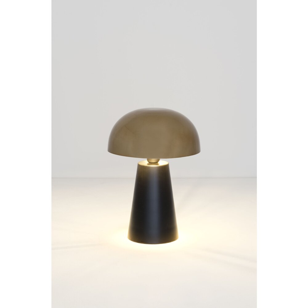 Holländer FUNGO Tischleuchte Gold, Schwarz, 1-flammig main product photo