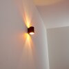 Letsbo Wandleuchte Schwarz-Gold, 1-flammig