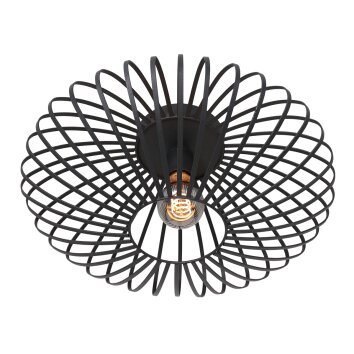Steinhauer Dunbar Deckenleuchte Schwarz, 1-flammig