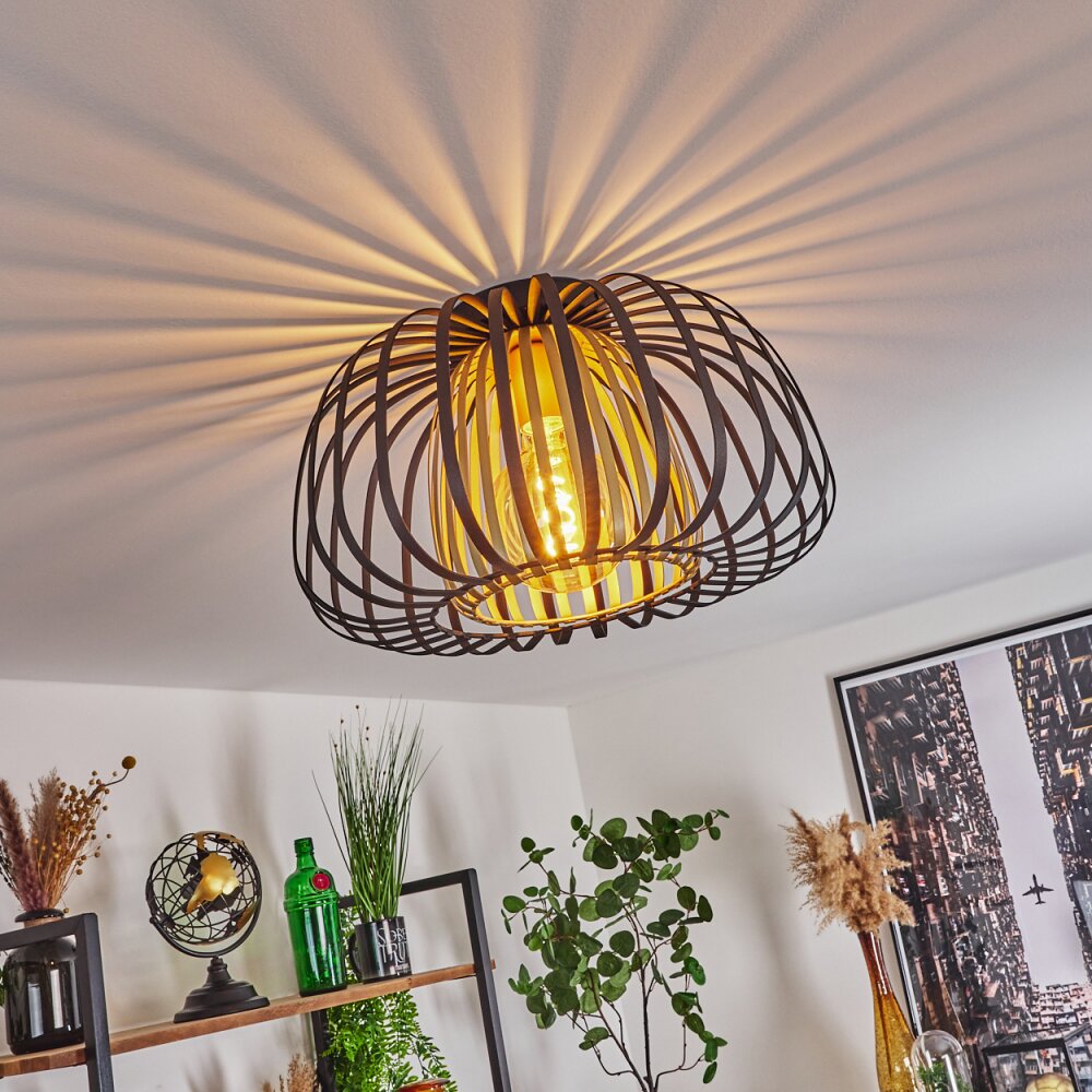 Dudignac Deckenleuchte Schwarz, 1-flammig main product photo