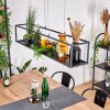 Ranquile Pendelleuchte LED Schwarz, 4-flammig