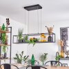 Ranquile Pendelleuchte LED Schwarz, 4-flammig