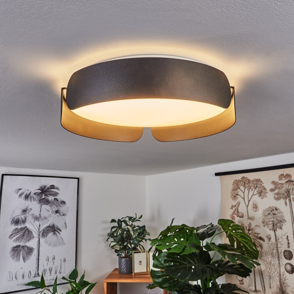 Fuscado Deckenleuchte LED Schwarz, 1-flammig main product photo