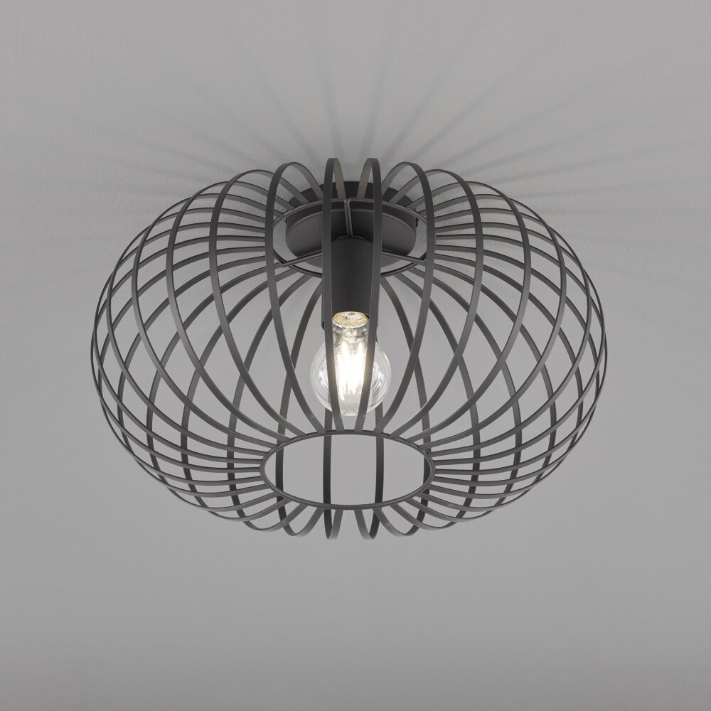 Fischer & Honsel Mocca Deckenleuchte Schwarz, 1-flammig main product photo
