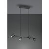 Trio Leuchten Marley Pendelleuchte Schwarz, 4-flammig