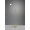 Trio Leuchten Franklin Stehleuchte LED Messing, 1-flammig