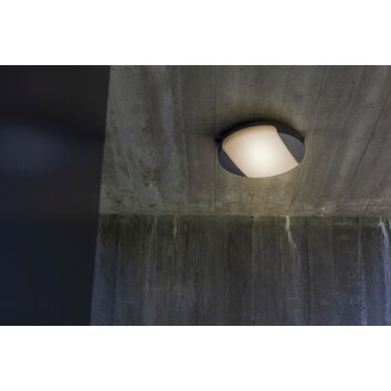 Lutec Lampen SWEEP Außendeckenleuchte LED Anthrazit, 1-flammig
