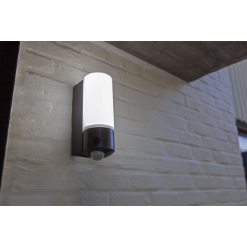 Lutec Lampen POLLUX Außenwandleuchte LED Anthrazit, 1-flammig, Bewegungsmelder