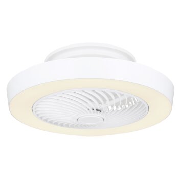 Globo DOMEY Deckenventilator LED Weiß, 1-flammig, Fernbedienung