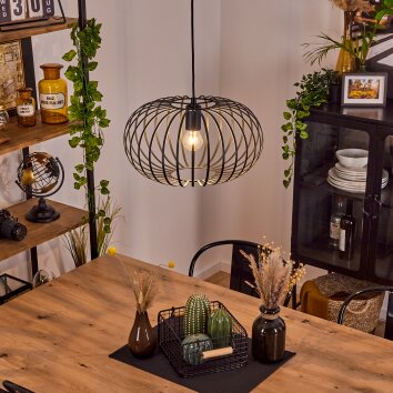 Trapichera Hängeleuchte Schwarz, 1-flammig