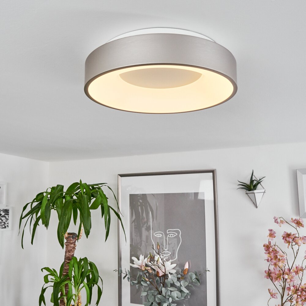 Playas Deckenleuchte LED Silber, Weiß, 1-flammig main product photo